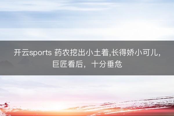 开云sports 药农挖出小土着,长得娇小可儿,巨匠看后,十分垂危