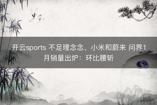 开云sports 不足理念念、小米和蔚来 问界1月销量出炉:环比腰斩