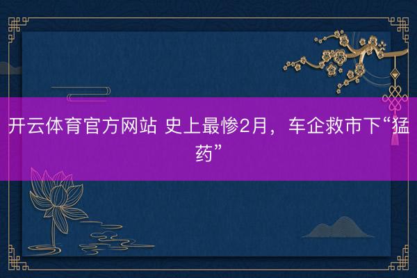 开云体育官方网站 史上最惨2月,车企救市下“猛药”