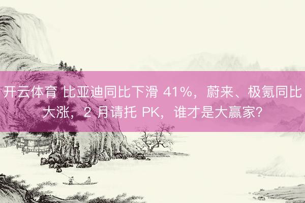 开云体育 比亚迪同比下滑 41%,蔚来、极氪同比大涨,2 月请托 PK,谁才是大赢家?